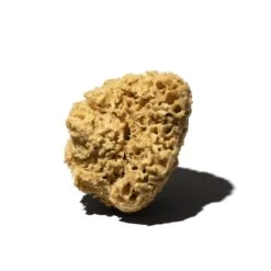 Éponge Marine 5 Éponge Marine -PARFUMER BOUTIQUE 10388 eponge naturelle grand modele 001