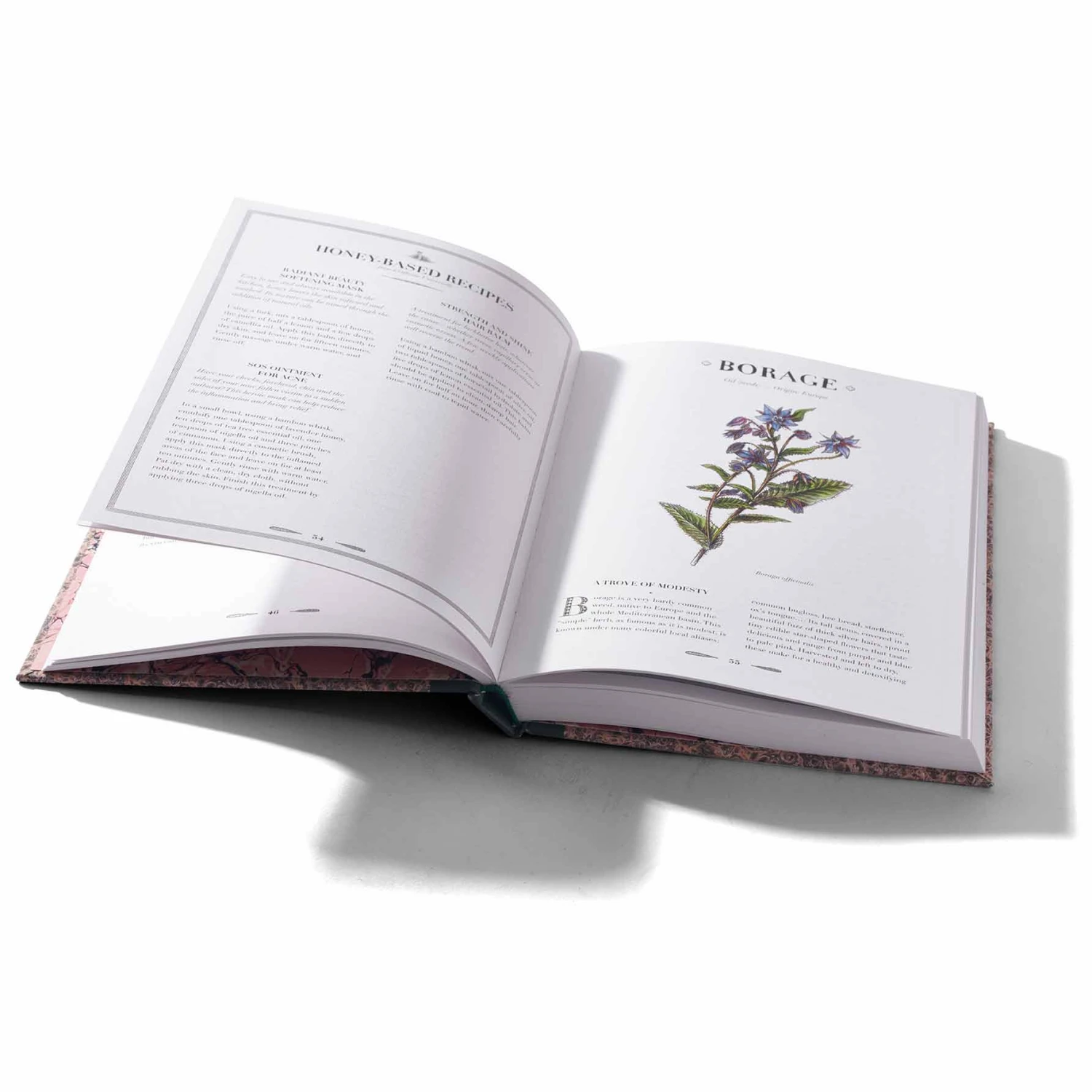 An Atlas Of Natural Beauty - Édition UK 2 An Atlas Of Natural Beauty - Édition UK – Image 2