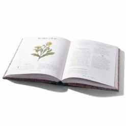 An Atlas Of Natural Beauty - Édition UK 5 An Atlas Of Natural Beauty - Édition UK -PARFUMER BOUTIQUE livre 002 e7d700d9 1398 4765 8124 78e7bd3db59c